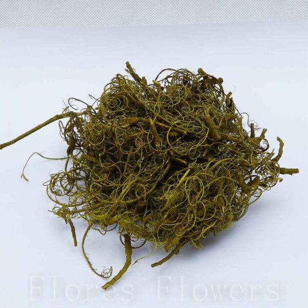 Sušina curly moss zelená, 180g - machovy obraz, machová stena, machovy obraz strom, machovy obraz vyroba, machovy obraz cena, machova stena cena, machova stena v obyvacke, machovy obraz na stenu, ram na machovy obraz, ako vyrobit machovy obraz, machovy obraz strom zivota, machovy obraz kruh, machova stena vyroba, zivy machovy obraz, obraz machovy, machova stena cena m2